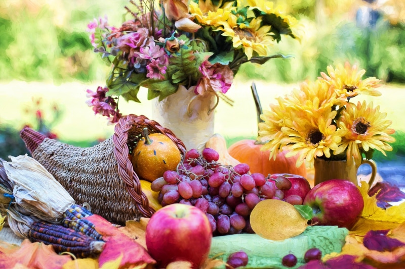 thanksgiving, centerpiece, fruit, variety, grapes, holiday, apple, choice, cornucopia, seasonal, plant, flowering plant, freshness, food and drink, autumn