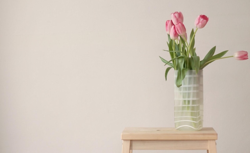 flower Pot, blossom, indoors, still Life, backgrounds, no People, vase, beauty in nature, bunch of flowers, close-up, springtime, multi Colored, petal
