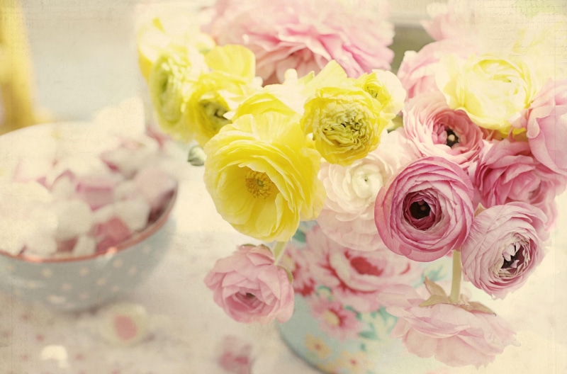 flower, ranunculus, tenderness, flowering plant, vase, petal, flower arrangement, pattern, plant, day, fragility, centerpiece, bouquet, gift, arrangement