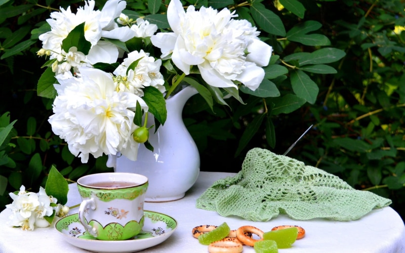 vulnerability, fragility, flower arrangement, flowers, tea cup, still life, flower head, close-up, flower, nature, beauty in nature, white, peonies, no people
