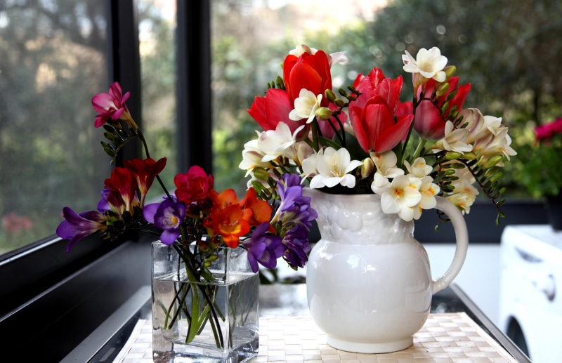 flower, decor, centerpieceds, backgrounds, beauty in nature, glass - material, springtime, multi Colored, window, bouquet, freesia, day, love, bunch of flowers