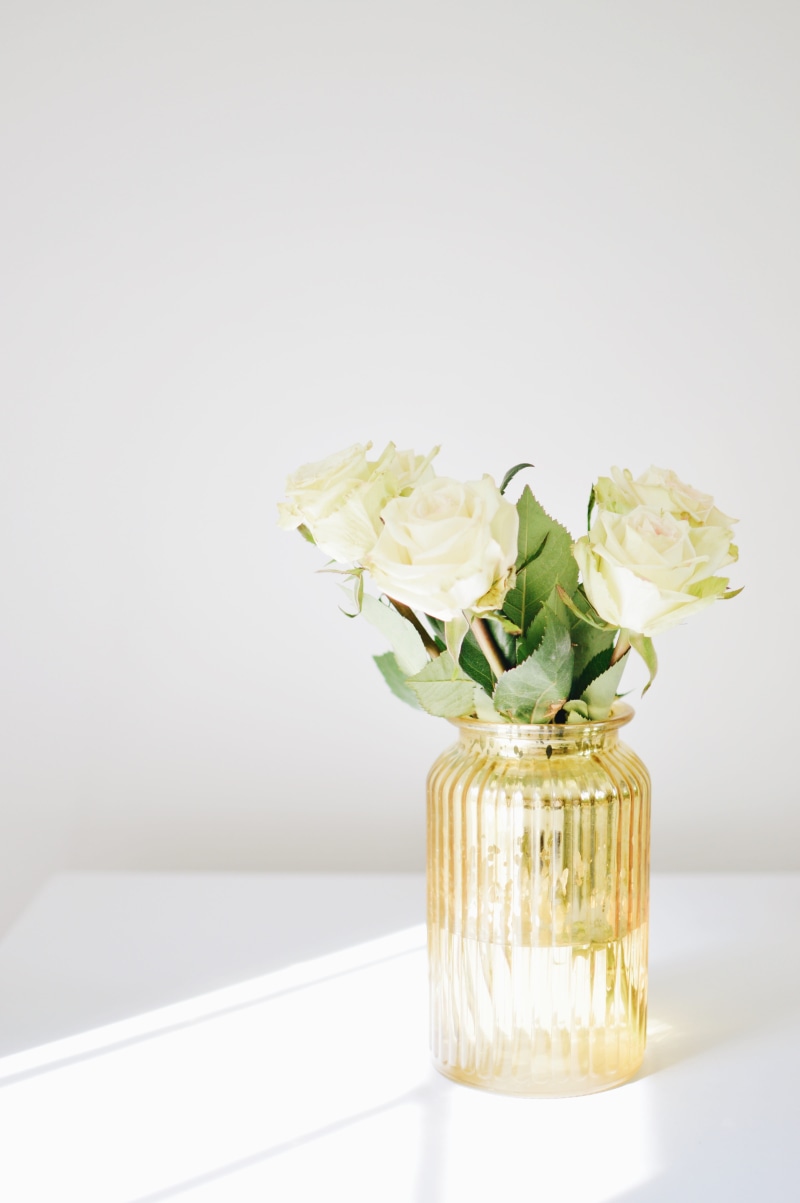 sunlight, rose, white background, leaf, wooden, copy space, transparent, three, home, still life, nature, flower arrangement, amber, plant, flowering plant