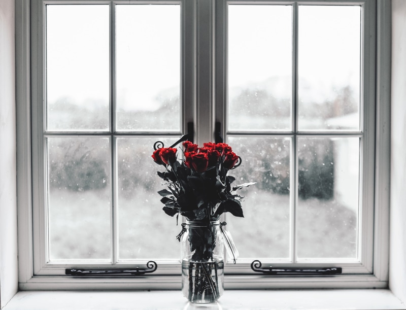 rose - flower, bouquet, indoors, glass - material, roses, glass, table, beauty in nature, flower, red, window sill, 4K, flowers, flower arrangement, rose