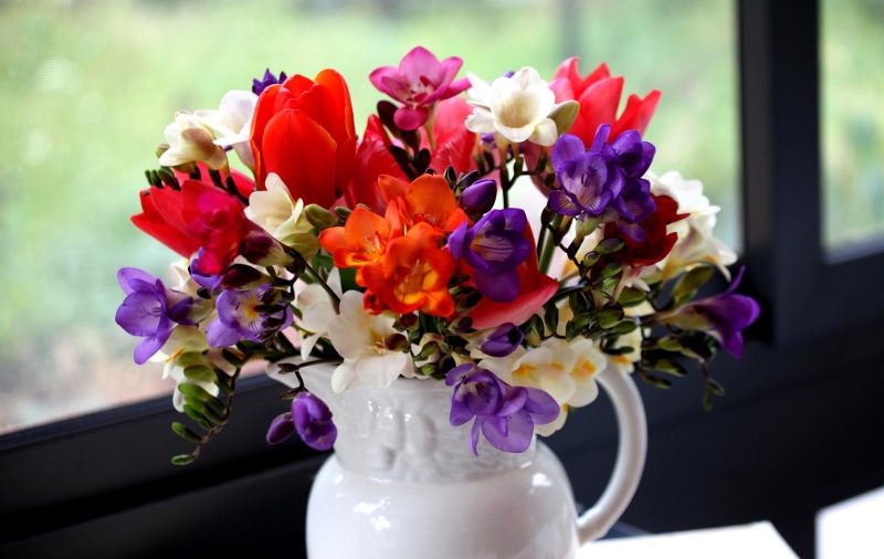 nature, love, blossom, romance, pink Color, colors, vulnerability, beauty In Nature, centerpiece, flower Head, indoors, pitcher - jug, close-up, freesia