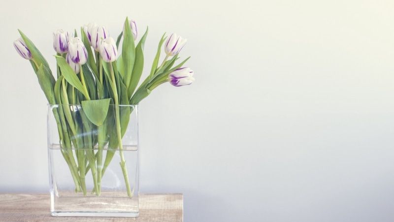 close-up, decoration, flower, flower arrangement, day, blossom, studio shot, plant, nature, colors, flowering plant, bouquet, decor, petal, vase, cut Flowers