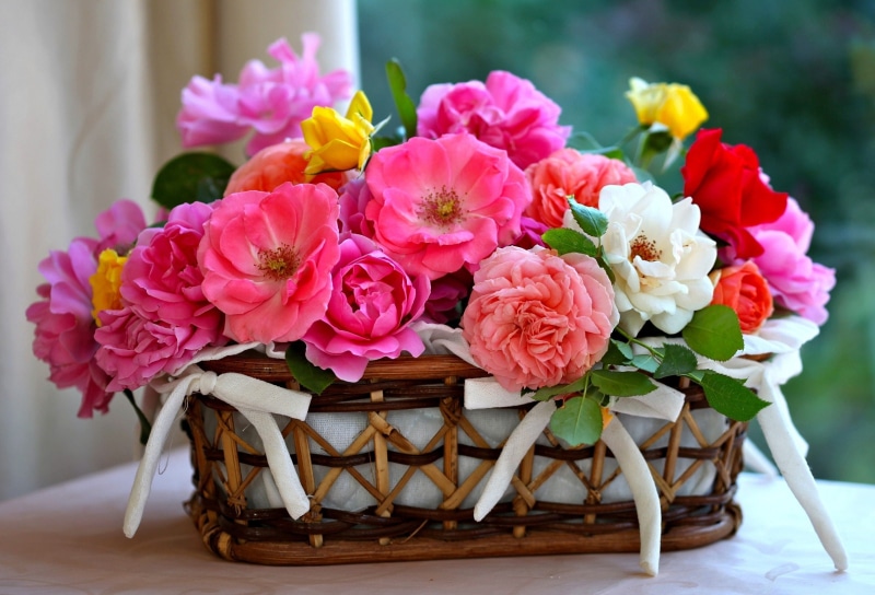 multi Colored, centerpiece, wedding, many, nature, celebration, bunch of flowers, vase, fragility, flower Head, indoors, rose - Flower, shopping, romance