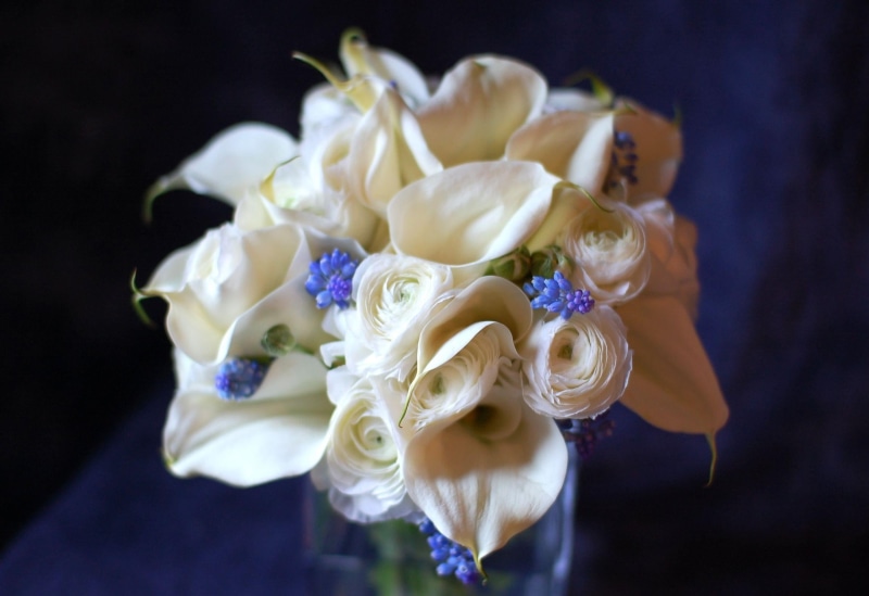 flower arrangement, macro, white, black background, no People, centerpiece, studio shot, flower Head, white color, elegance, calla lilies, rose, rose - Flower
