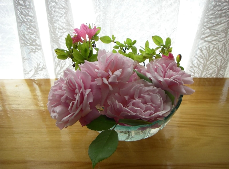 vulnerability, flower arrangement, indoors, vase, flower, blossom, 1080P, centerpiece, freshness, love, buds, home interior, flowering plant, beauty in nature