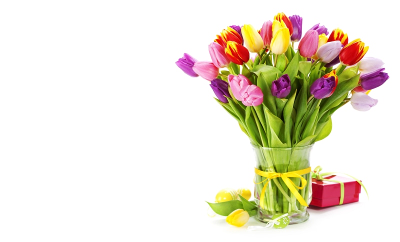 spring, holiday, valentines Day - Holiday, petal, romance, flowers, birthday, decoration, bunch, springtime, yellow, purple, red, 8K, flower, surprise