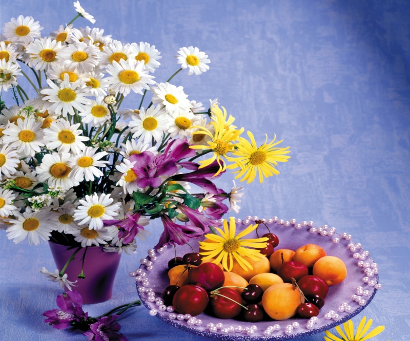 nature, blossom, wellbeing, healthy eating, summer, food, blue, springtime, flower, centerpiece, berry Fruit, season, table, flower Head, cherry, ripe