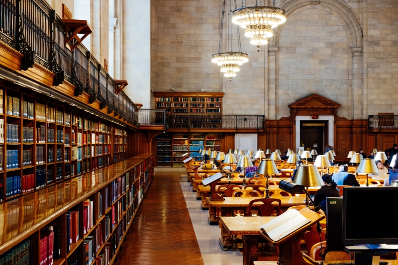 read, 5K, rose, studying, bookshelves, architecture, electric lamp, wood, lamp, interior, school, chair, desk, person, seat, learning, brown, wooden, furniture