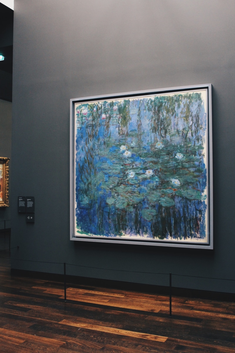 built structure, transparent, indoors, paris france, flower, paris, screen, no people, window, television set, flat screen, day, nature, technology, water lilies