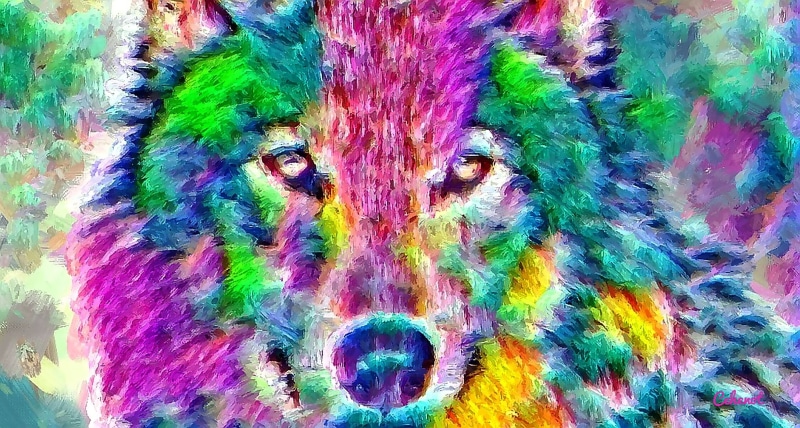 paint, green, design, animal, pattern, lup, looking at camera, blue, digital composite, pink, no people, dog, full frame, multi colored, backgrounds, green color