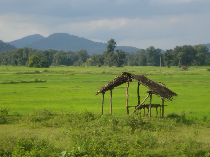 tranquility, hut, green color, day, sky, grass, plant, growth, environment, tranquil scene, cloud - sky, field, 2K, farmer, india, nature, indian village