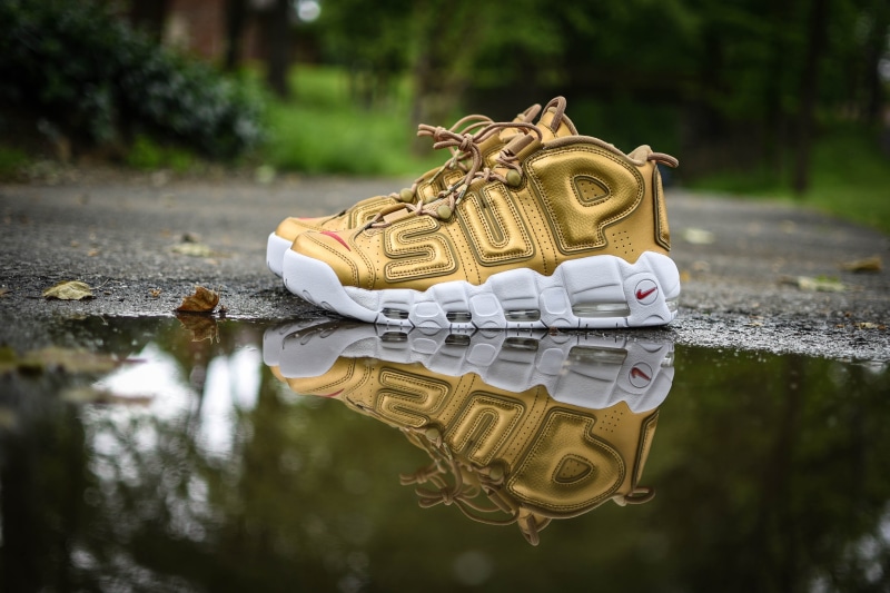 plant, reflection, tree, white, no people, day, cultures, 4K, Air, unpaired, x, puddle, trees, focus on foreground, shoe, finance, gold, representation