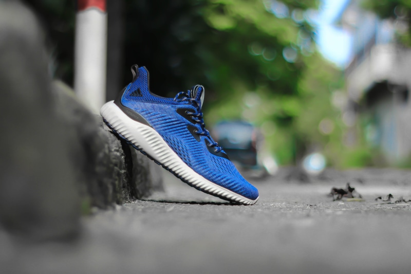 alphabounce, pair, white, adidas shoes, bird, daytime, clothing, hype, animal themes, blue jay, cup, jay, running, vertebrate, adidas, relaxation, focus