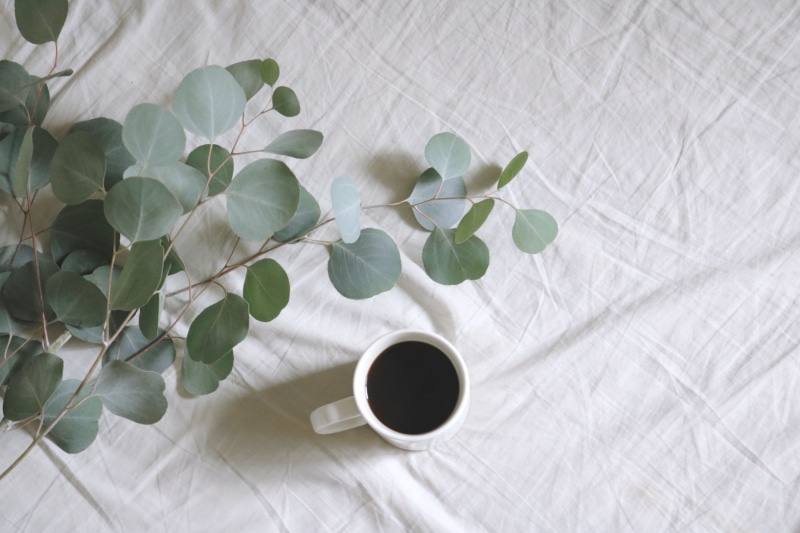 branch, white color, crockery, leaf, food and drink, plants, cup, table, lay, illustration, white background, beverage, freshness, coffee mug, 4K, black coffee