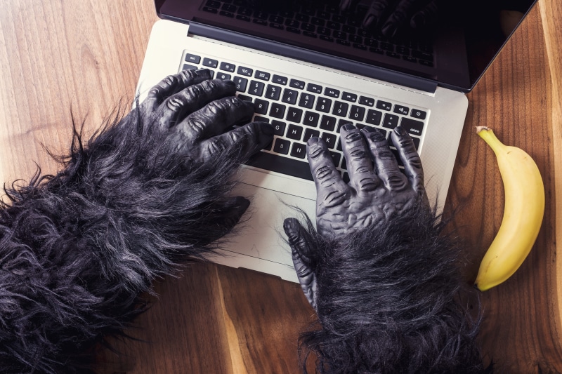 animal, gorilla suit, domestic, animals, wireless technology, person, s, keyboard, connection, computer Keyboard, banana, humor, besides, hairy, halloween