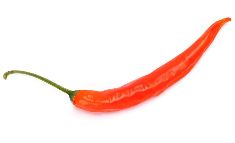 kitchen, healthy eating, cooking, lifestyle, studio, white background, clippingpath, red chili pepper, vegetarian food, hot, paprika, culture, red, background