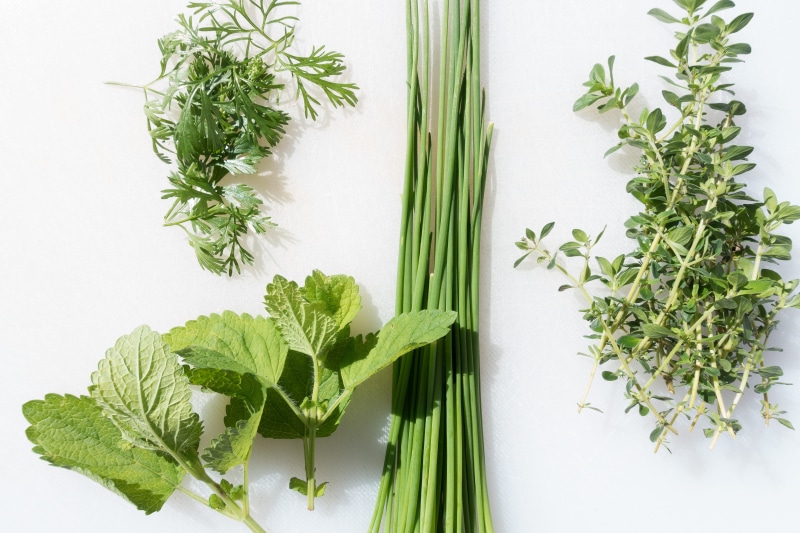 organic, thyme, green Color, kitchen, kitchen spice, lemon balm, indoors, leaf, chervil, herbs, herbal Medicine, bunch, eat, seasoning, delicious, green