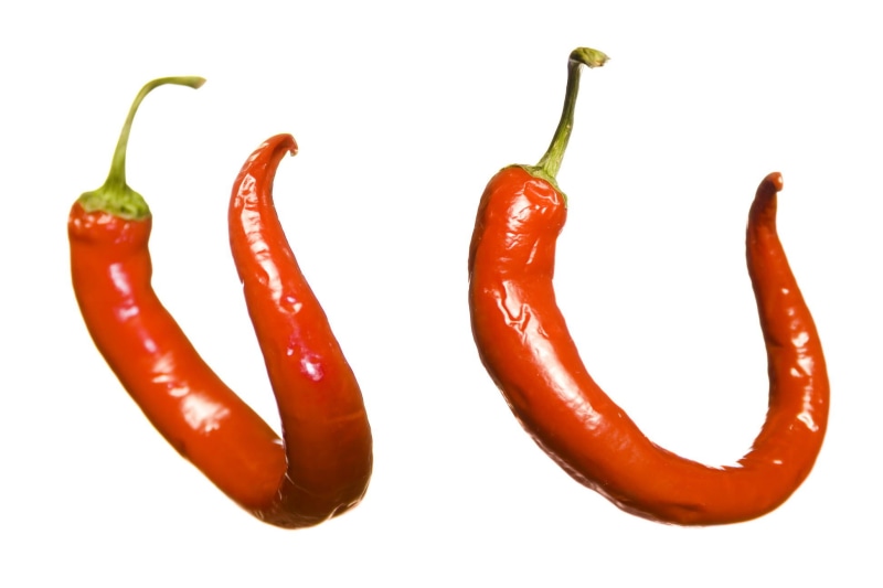 food and drink, healthy eating, raw, chilli, natural, cuisine, capsicum, three objects, bright, hot, bell, flavoring, food, chili, wellbeing, farm, studio shot