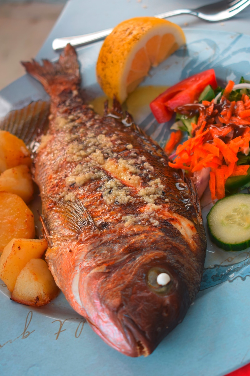 fish, wellbeing, orange color, serving size, delicious, sea, healthy eating, restaurant, healthy, sea bream, tasty, grilled, high angle view, meat, vegetable