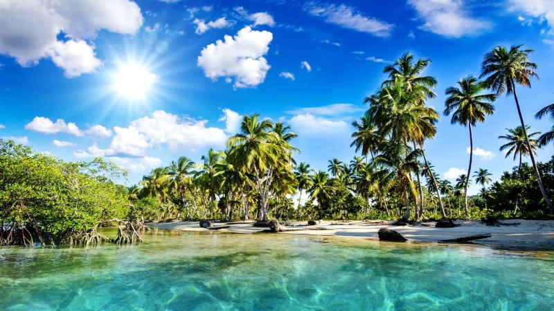 Sea, Sunlight, Beautiful, Palm, Scenery, Tropics, 2K, Beach, Trees