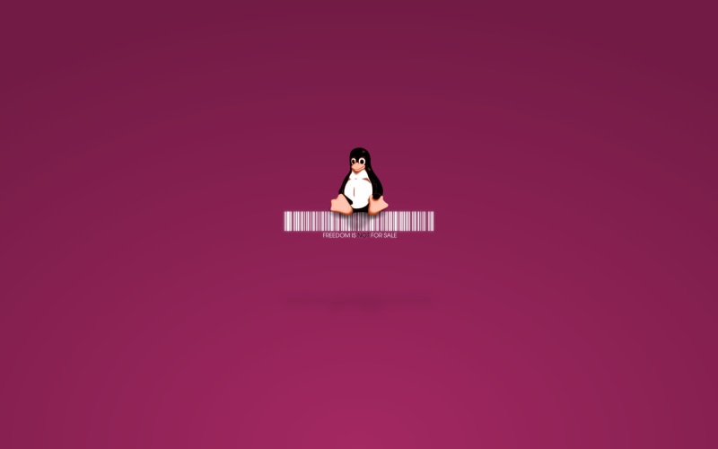 one person, colored background, Linux, indoors, young adult, communication, front view, beautiful woman, uncertainty, young women, women, hairstyle, contemplation