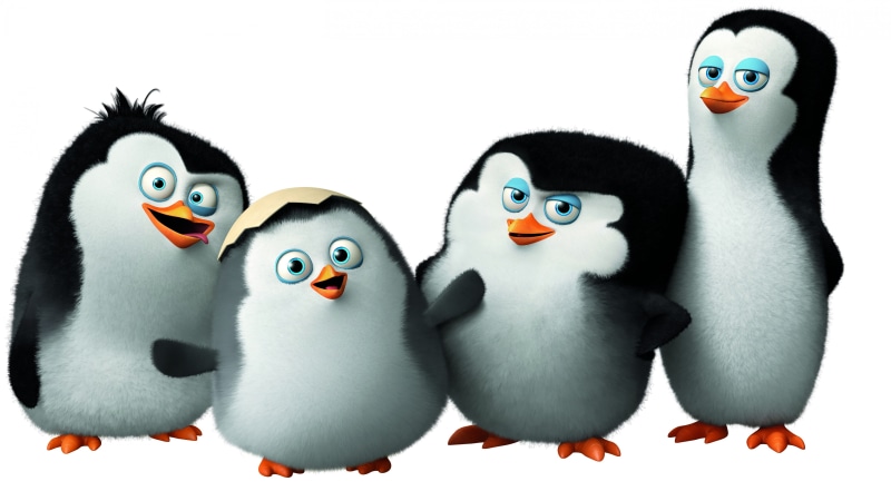 Best Animation Movies of 2015, watch, illustration, penguins, Penguins of Madagascar, four, Kowalski, cute penguin, Private, funny, 5K, Rico, cartoon