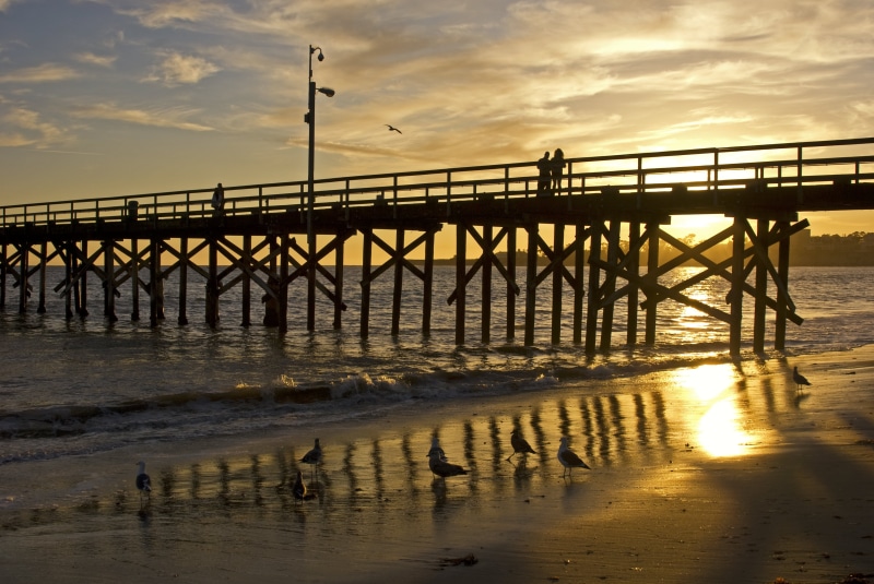 beach, Nikon D80, body of water, in the air, geotagged, bird, sea, Sunset, selective, nature, Pier, Goleta  California, focus, body, near, One, photography