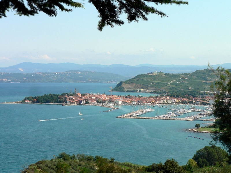 plant, port, bay, 2K, day, beauty in nature, outdoors, izola, slovenia, land, tree, isola, high angle view, scenics - nature, mode of transportation, sea