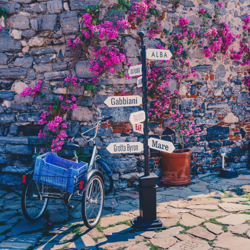 flowers, wall, western script, sea, street, isola palmaria, built structure, directions, portovenere, transportation, communication, la spezia, purple