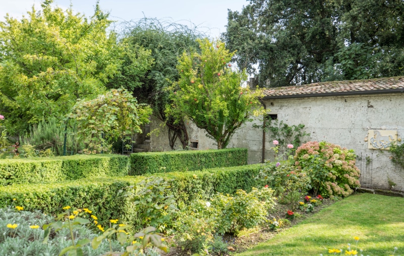 growth, castle, travel, land, flower, day, lake garda, nature, italy, historical, flowering plant, tree, built structure, italian, no people, plant, summer