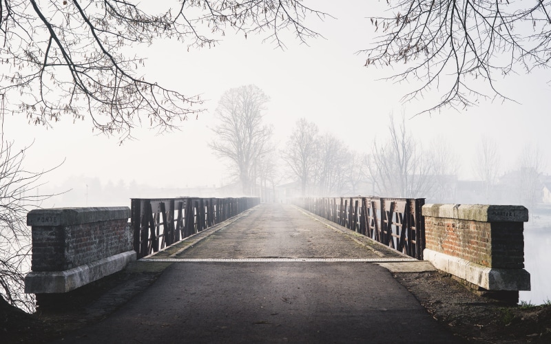 no people, clear sky, outdoors, sky, branch, river, bare tree, frost, winter, road, day, built structure, fog, tree, treelined, direction, travel, 4K