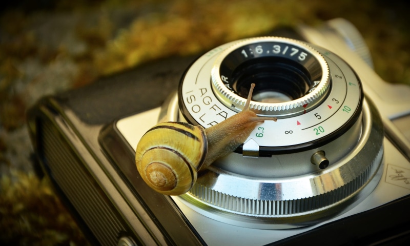 single object, photography, luxury, technology, 2K, number, snail, steel, metal, brown, instrument of measurement, slr, silver colored, no people, camera