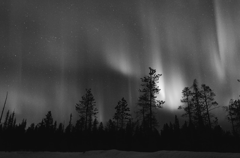 plant, forest, artic, black and white, tranquil scene, star, no people, finland, long exposure, boreali, scenics - nature, beauty in nature, snow, peaceful