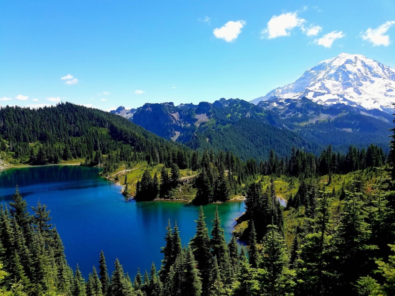 tranquility, cloud - sky, Mt Rainier, sky, idyllic, mountain range, water, plant, scenics - nature, day, remote, no people, mountains, mountain, 1080P