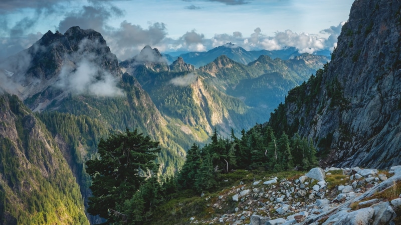 pine trees, scenics - nature, green, idyllic, mountain, non-urban scene, high angle view, rock, North Cascades National Park, environment, tree, nature