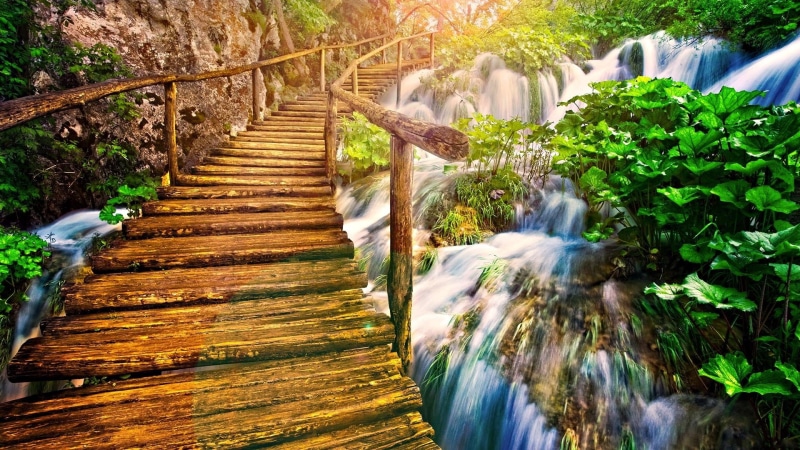 moss, lush Foliage, summer, environmental Conservation, built structure, rock, solid, uncultivated, landscape, power in nature, stream, blurred motion