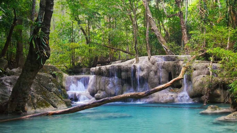 no people, environment, flowing, rainforest, growth, tranquil scene, provinc, beauty in nature, tree, national, waterfall, scenics - nature, falling water