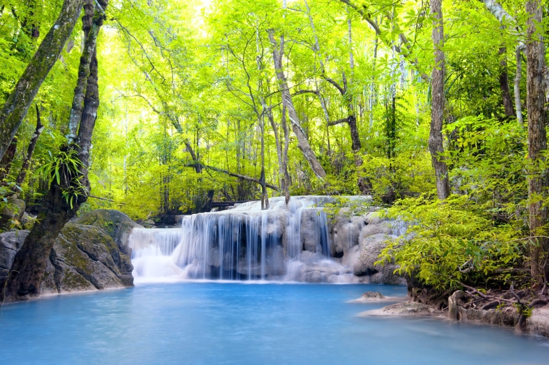 growth, beauty In Nature, landscape, scenics - nature, outdoors, rapid, flowing Water, water, tree, tropical Rainforest, scenics, rainforest, heaven, travel