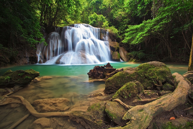 purity, rock - Object, environment, nature, scenics, blurred Motion, motion, green, forest, long exposure, rock, stream, outdoors, woodland, flowing Water