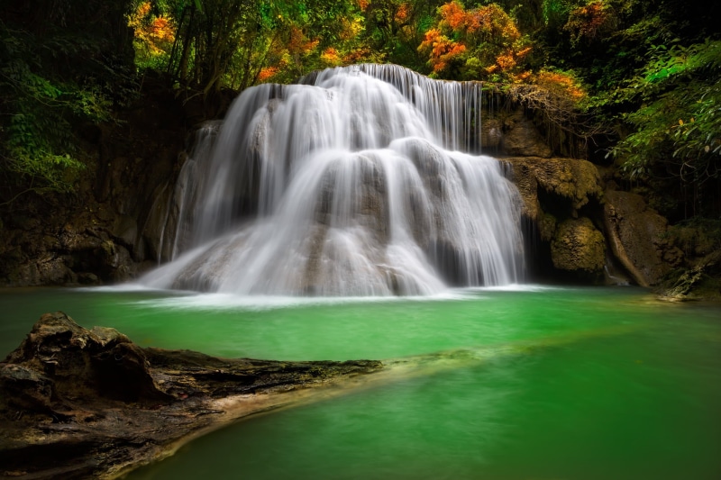 tropical Rainforest, blurred Motion, forest, no People, woodland, 1080P, flowing, moss, summer, plant, uncultivated, travel, beauty In Nature, power in nature