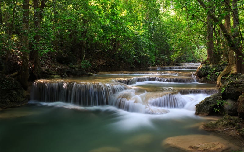 river, backgrounds, environment, stream, falling, 1080P, tree, heaven, plant, blurred motion, flowing Water, leaf, motion, day, waterfalls, no people