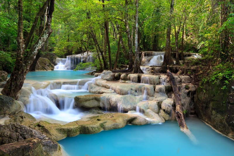 forest, leaf, non-urban scene, foliage, kanchanaburi Province, rock - Object, rainforest, green, deep forest, tranquil Scene, leafed, scenics, beauty In Nature