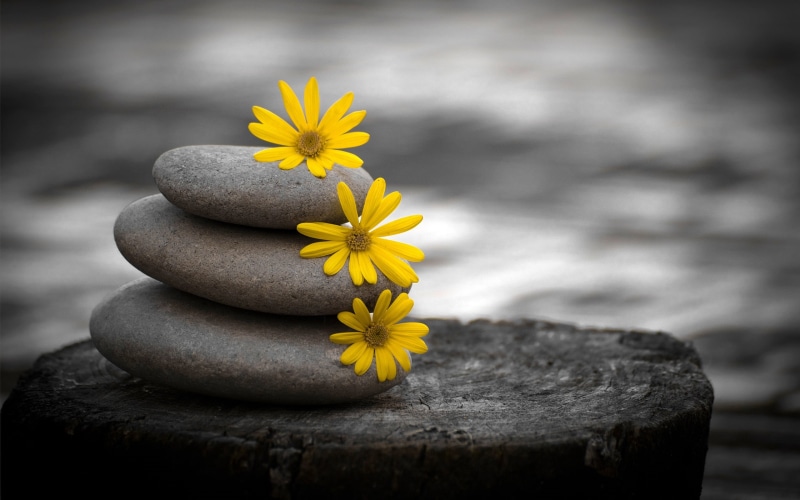 massaging, balance, stack Rock, solid, stone Material, harmony, plant, freshness, yellow, stability, healthy Lifestyle, fragility, petal, vulnerability