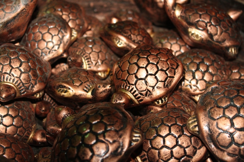 food and drink, group of objects, reptile, no people, metal, shui, animal, close-up, feng, brown, backgrounds, indoors, business, abundance, food, collectible