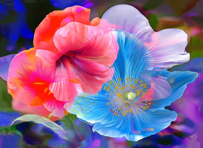 Poppy, Flowers, Artistic, Painting, 1080P, Flower, Hibiscus, Anemone, Colors