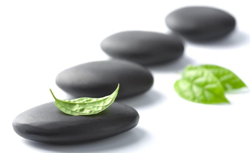 freshness, fruit, 2K, green color, nature, stones, Stone, close-up, zen stone, indoors, four, plant part, zen, white background, leaf, pebble, group of objects