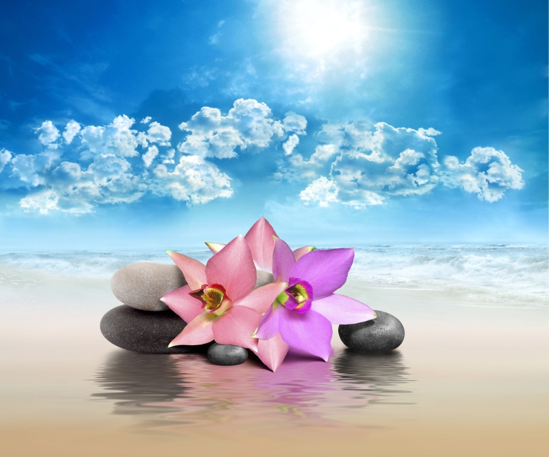 purple, leaf, cloud - Sky, blue, sea, floating on water, pink Color, backgrounds, holiday, sky, tropical Climate, freshness, plant, copy Space, bali, beauty